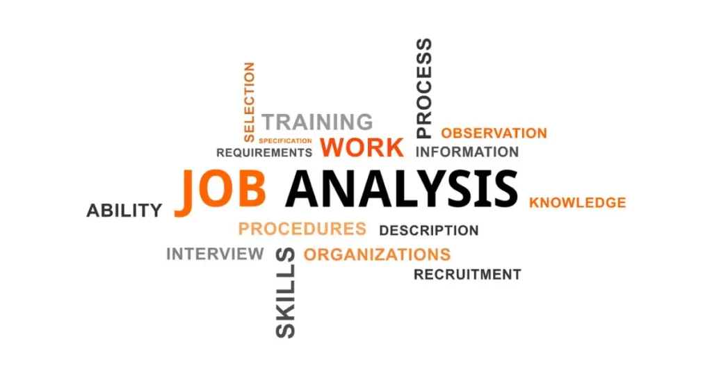 Components of job analysis