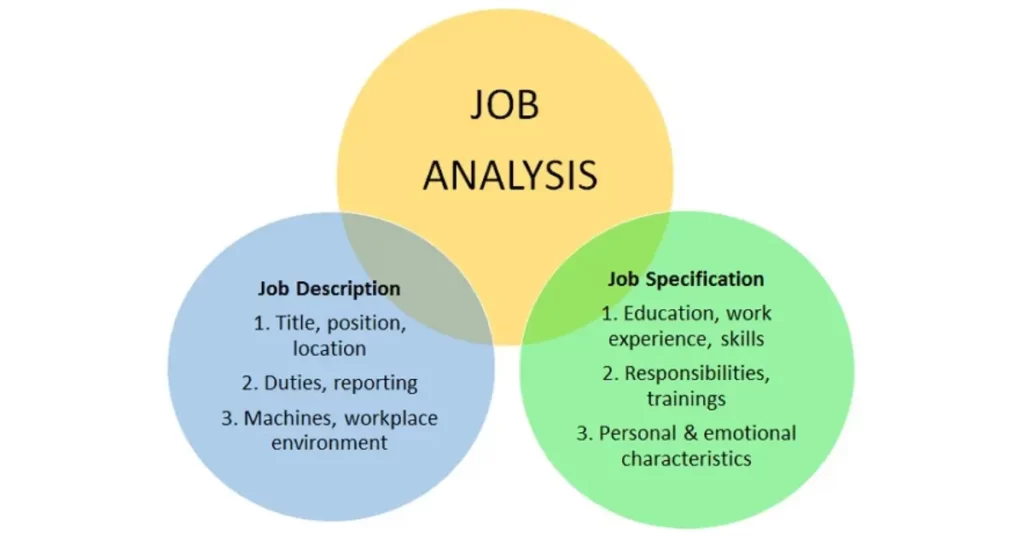 Job description and job specification
